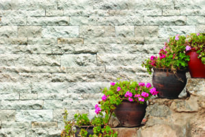 Ambiance SplitFace Light